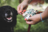 SEWING PATTERN for dog poop bag holder, sewing tutorial pdf for dogs, dog waste bag dispenser, doggie bag holder, dog supplies and gifts